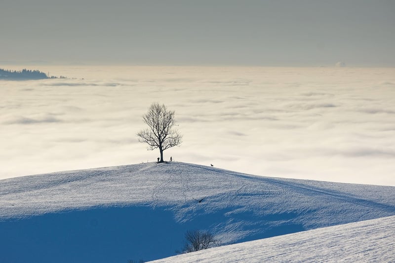 Scenic Landscape